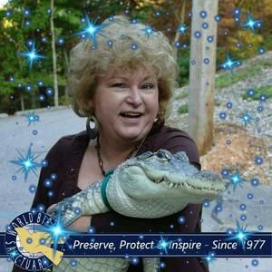 Meet your Posher, Donna